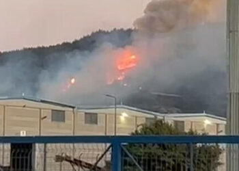 İzmir'de sanayide çıkan yangın ormana sıçradı; 15 ev yandı