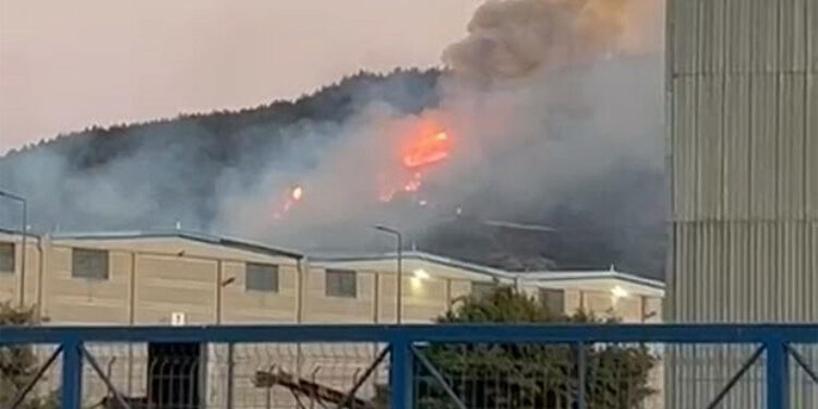 İzmir'de sanayide çıkan yangın ormana sıçradı; 15 ev yandı
