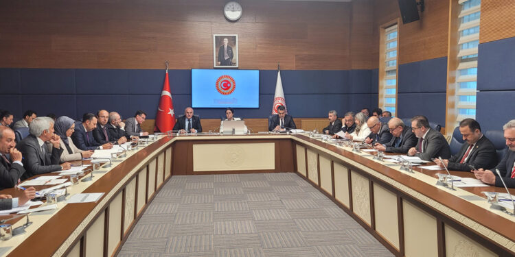 İnsan Hakları İnceleme Komisyonu'nda 5 alt komisyon kuruldu