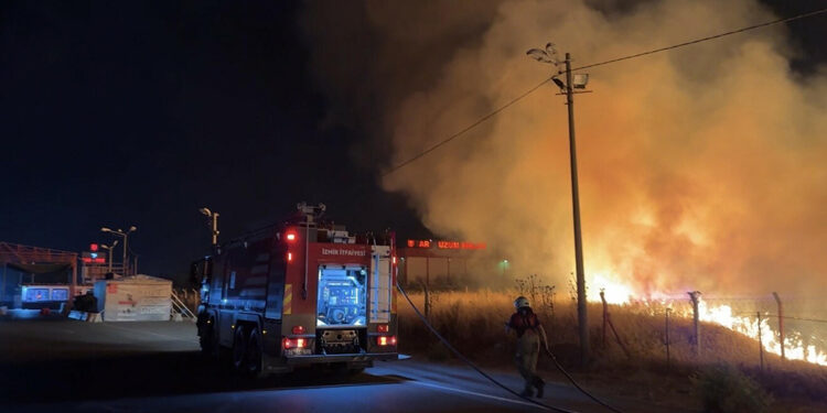 İzmir'de otluktaki yangın 1 saatte söndürüldü