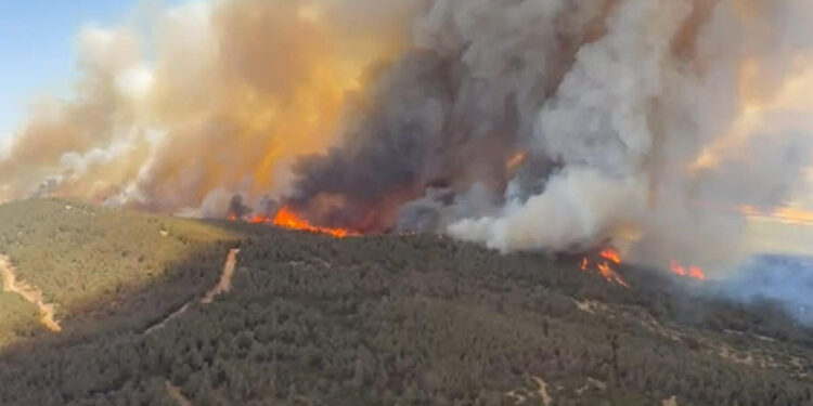 İzmir'in Aliağa ilçesinde orman yangını çıktı