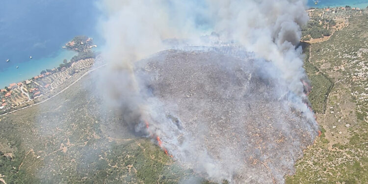 İzmir'in Karaburun ilçesindeki ormanda yangın