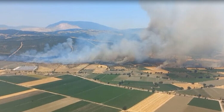 İzmir'in Kınık ilçesinde ormanda yangın
