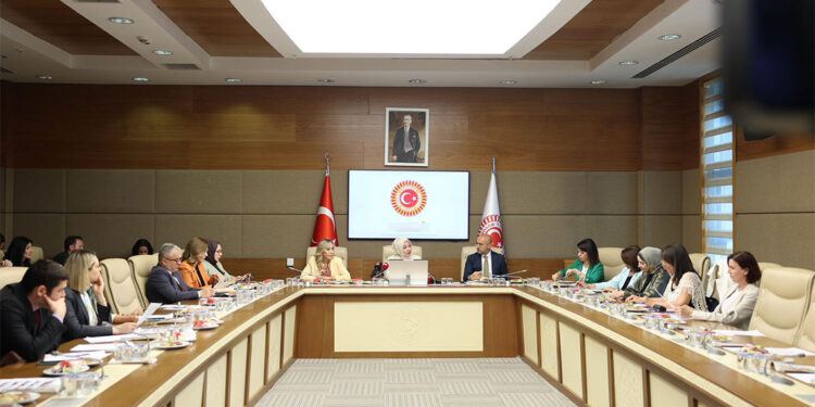 TBMM Kadın- Erkek Fırsat Eşitliği Komisyonu