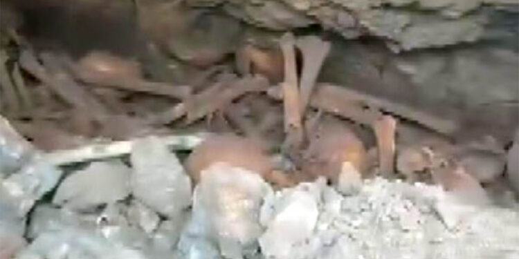 Roma dönemine ait 1500 yıllık kaya mezarı bulundu