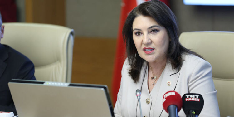 Kamu Denetçiliği Kurumu'nun 2024 Yıllık Raporu kabul edildi