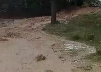 Kırşehir'de sağanak sele neden oldu; tarım arazileri zarar gördü