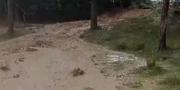 Kırşehir'de sağanak sele neden oldu; tarım arazileri zarar gördü