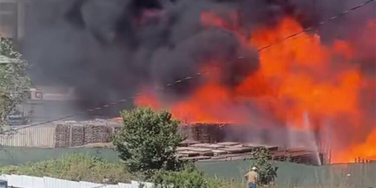 Kocaeli'de palet depolama sahasında yangın