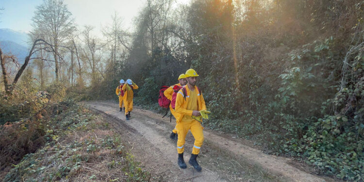 Doğu Karadeniz'de orman yangını riski artıyor