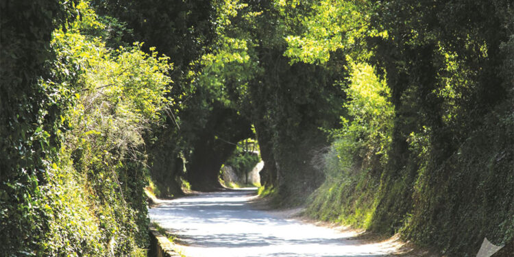 Karabağlar Yaylası