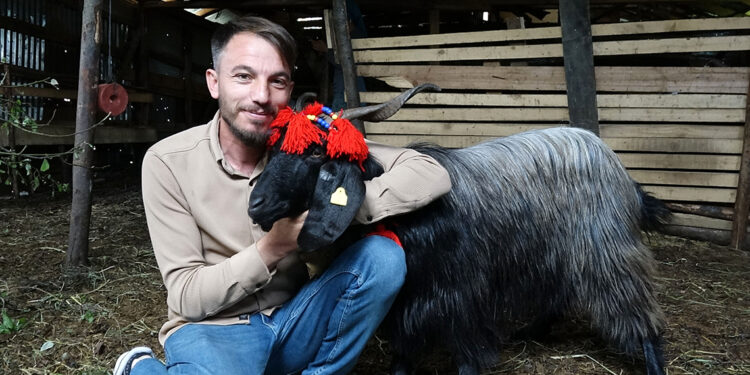 Keçi inadı, Şanslı’yı hayatta tuttu; kurbanlığını kesmeye kıyamadı