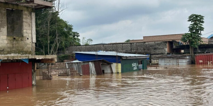 Kongo Demokratik Cumhuriyeti'nde sel: 29 ölü