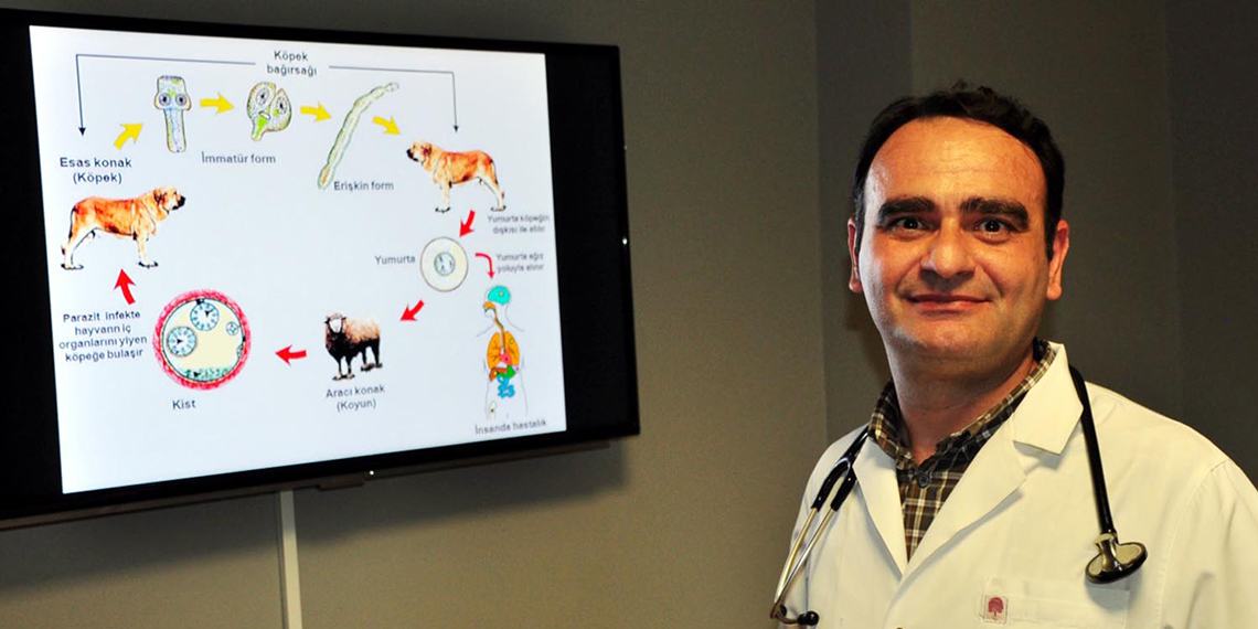 Kurbanlıklar için kist uyarısı; çöpe atılmamalı, hayvanlara yedirilmemeli