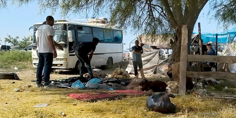 Kurbanlıkları kaldırımlarda ve yol kenarlarında kestiler