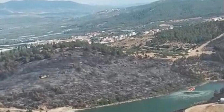 Karaköy Mahallesi'nde çıkan orman yangını ile ilgili 1 kişi gözaltına alındı
