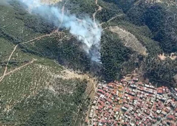 Manisa'daki yangınlarda 2 hektar orman zarar gördü