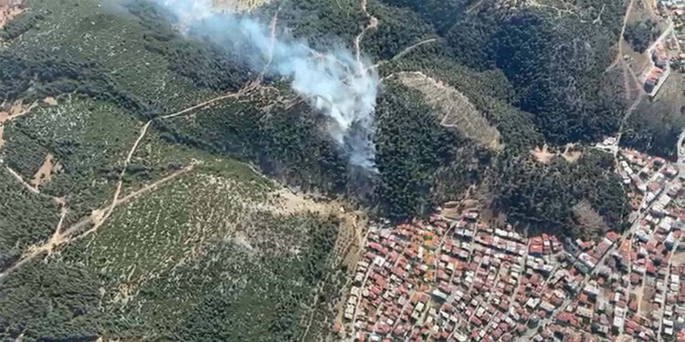 Manisa'daki yangınlarda 2 hektar orman zarar gördü