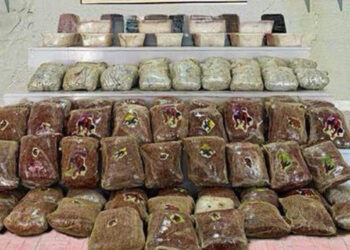 Van hudut hattında 87 kilogram uyuşturucu madde ele geçirildi