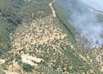 Manisa'daki makilik yangını, ormana sıçradı