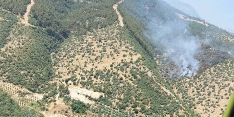 Manisa'daki makilik yangını, ormana sıçradı