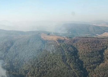 Manisa'daki orman yangını 3'üncü günde de sürüyor