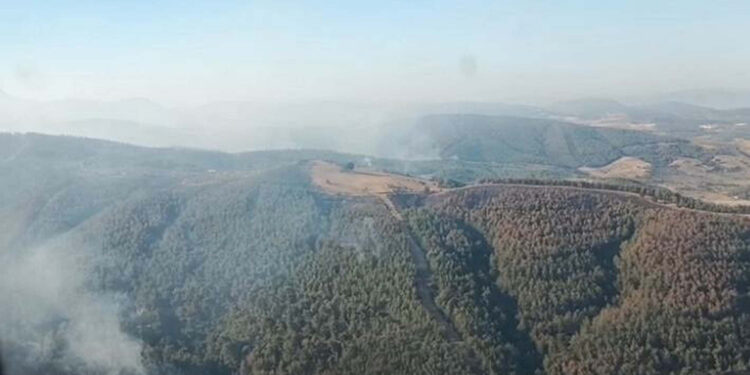 Manisa'daki orman yangını 3'üncü günde de sürüyor