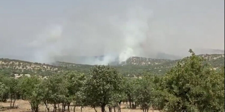 Mardin'in Mazıdağı ilçesinde orman yangını