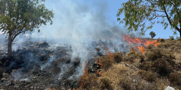 Muğla'da maki yangını çıktı