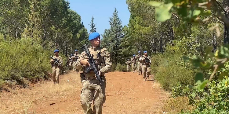 Muğla'da orman yangınlarına karşı sıkı denetim