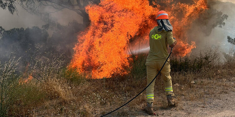 Muğla'nın Yatağan ilçesinde orman yangını; 2 hektar orman zarar gördü