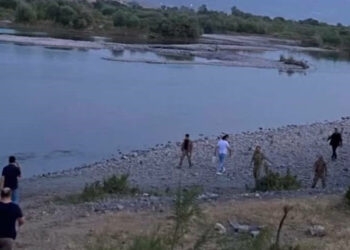 Murat Nehri'ne girip kayboldu