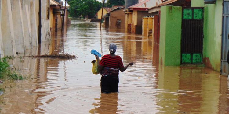 Nijerya'daki selde 200'den fazla kişi hayatını kaybetti