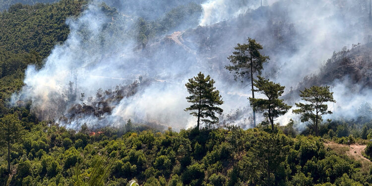 Ormanlarımız bugün de alevlere teslim oldu