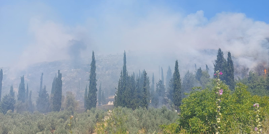 Ormanlarımız bugün de alevlere teslim oldu