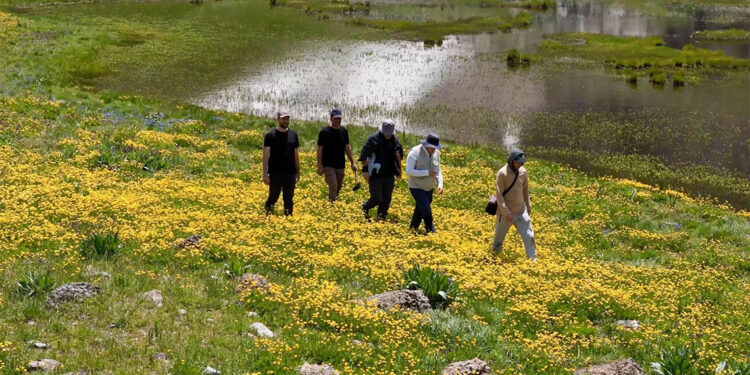Rengarenk çiçeklerin karla buluştuğu nokta; Sohmarik Yaylası