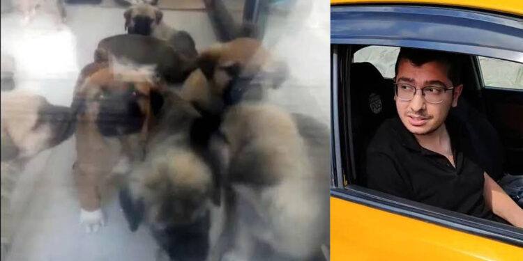 Sahiplendiği köpekleri öldürdüğü iddia edilen doktor hakkındaki iddianame kabul edildi