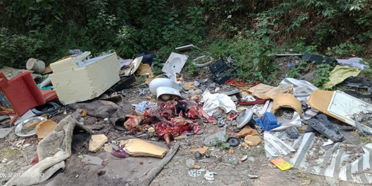 Kurban Bayramı'nda kesilen hayvanların atıkları ormana atıldı