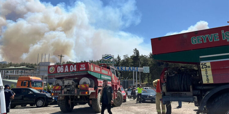 Sakarya'daki orman yangınında soğutma çalışmaları sürüyor