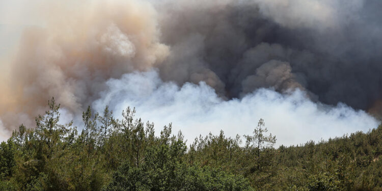 Sakarya'da çıkıp Bilecik'e sıçrayan orman yangını 2'nci gününde