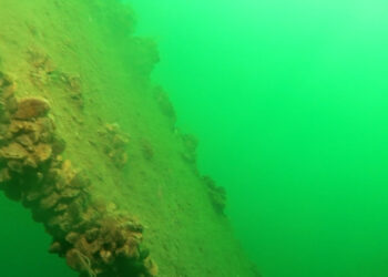 Sapanca Gölü'ne düşen uçağın enkazı 53 yıl sonra yeniden görüntülendi