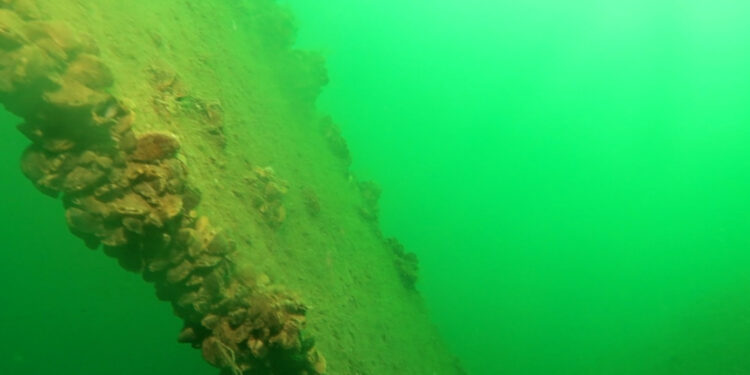 Sapanca Gölü'ne düşen uçağın enkazı 53 yıl sonra yeniden görüntülendi