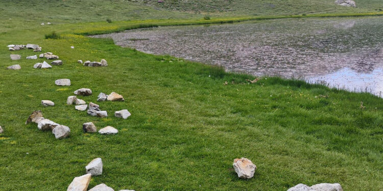 Sessiz kurbağaların yaşam alanı çöplüğe döndü