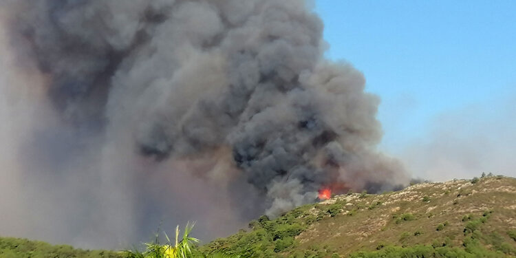 Sıcaklıklar 40 dereceyi aştı; ormanlar alev aldı