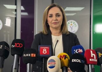 Silahların bırakılması DEM Parti'nin taleplerinden biri
