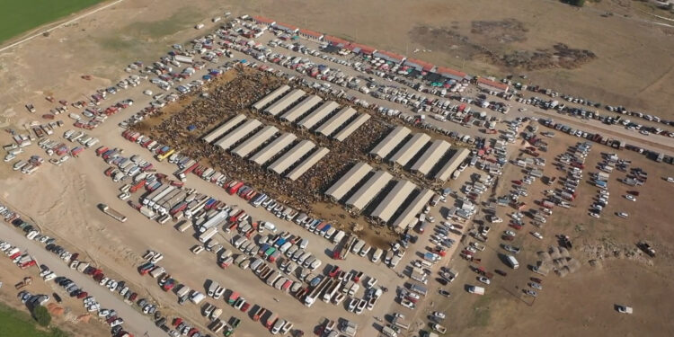 Sivas’ta şap nedeniyle hayvan pazarları tedbiren kapatıldı