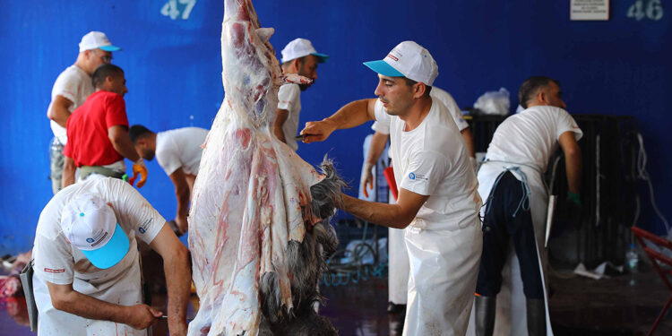 Sokakta kurban kesip, atıklarını gömene 23 bin 532 lira ceza