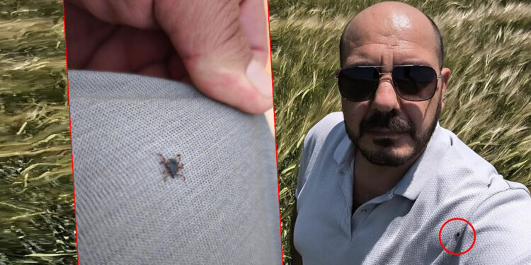 Tarlada selfi yaparken üzerinde kene olduğu fark etti