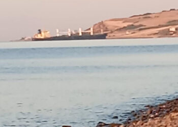 Tekirdağ'da kuru yük gemisi karaya oturdu