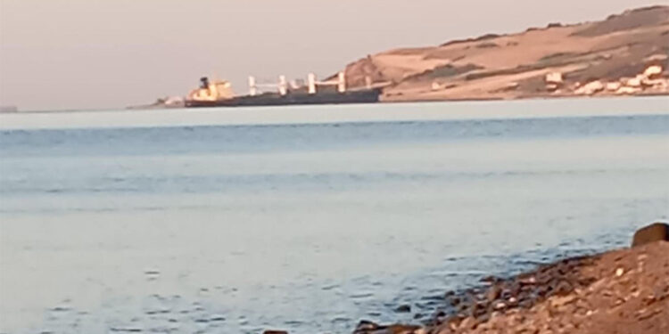 Tekirdağ'da kuru yük gemisi karaya oturdu